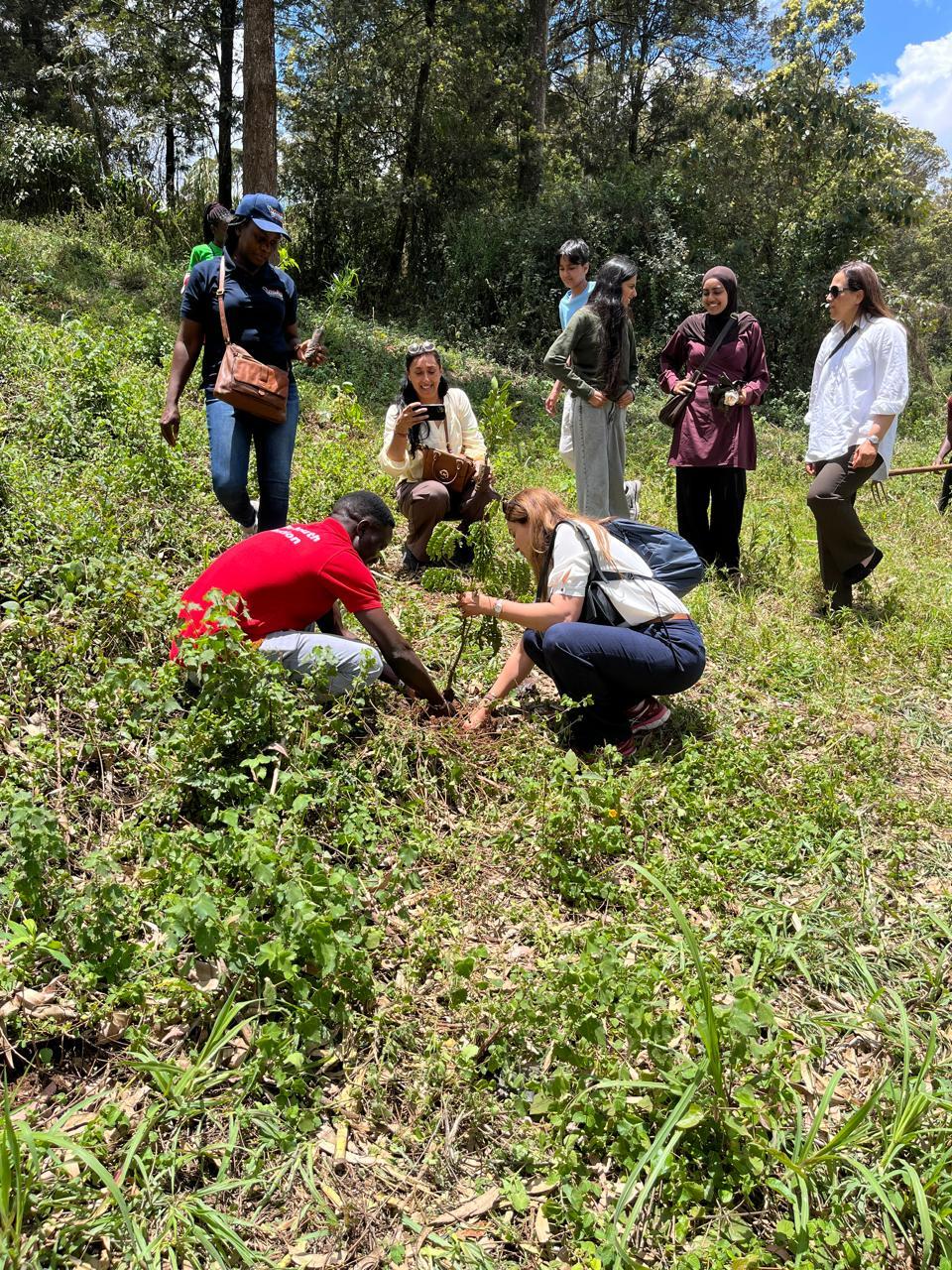 Environmental Conservation